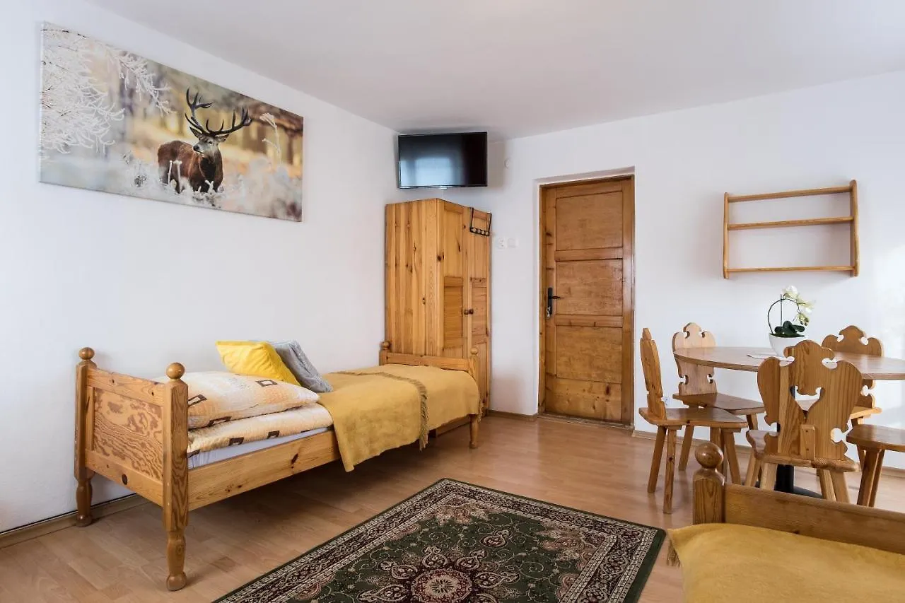 Apartament Harenda 13e, akceptujemy BON TURYSTYCZNY Zakopane 0*,